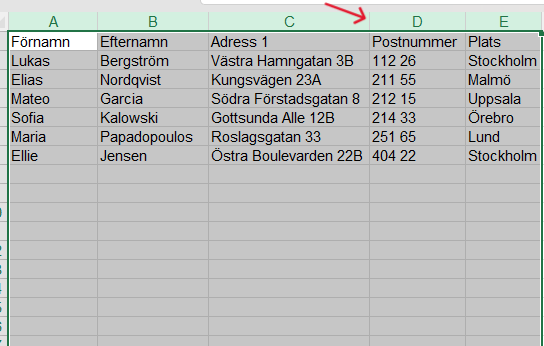 Excel‑ark med ifyllda adressuppgifter inklusive postnummer och plats